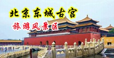 美女肏逼阿中国北京-东城古宫旅游风景区